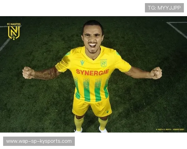 南特球员表现出色，或将被国家队召唤，南特足球俱乐部